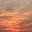 노을자리 이미지