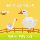 RDS 다운 인증과정 모션 포플 이미지