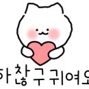 애옹애몽 이미지
