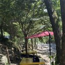 명작(물한산장 펜션) | [영동 물한계곡] 애견동반계곡 별밤펜션오토캠핑장 / 수심2m 대전근교 계곡 / 평상대여