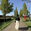 다나바이오 | 튜브뱃살 안녕 나를 위한 가벼운 선택 보니바이오 올비움 내돈내산 솔직 후기