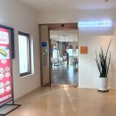 훈데르트힐즈 | 제주여행 우도 숙소 훈데르트힐즈 오션스위트B 숙박 후기