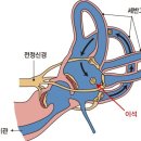 온기담은 한의원 이미지