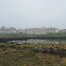 표선리-4 이미지