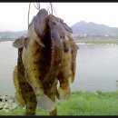 원정들3 이미지