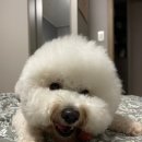 연두살롱 이미지