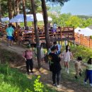 시립박물관 노리숲길 이미지