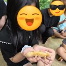 애플팜핑 이미지