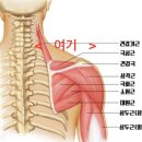 미아사거리 헬스장 3회차 PT짐코사트 후기/직장인 운동기록 체형교정+건강하게 다이어트 도전