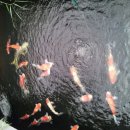 배다골민속박물관 이미지