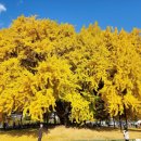 오랜미래신화미술관 이미지