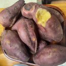 봉이네농장 | [후기] 봉이네 농장 꿀 고구마 맛집🍠