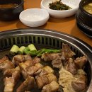 강쥐세상 이미지