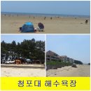숲 펜션&캠핌장 이미지