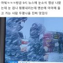 고양이나라