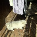 지산리조트 엑스게임렌탈샵[내돈내산 후기]