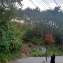 고둔치 솔가 이미지