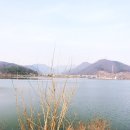 반월건강원