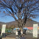 LH대덕마을@ 이미지