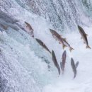 쿨모텔 | 갈아타기를 결심하게 된 26년의 봄 (Feat. 쏘스쿨 초급반 후기)