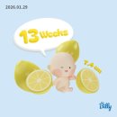 꾸떼드미엘 | 식단기록, 운동기록, 라이블리스무디 D+210(13W0D)- 임신부 속옷 구매 후기(맘스데이 하프팬티)