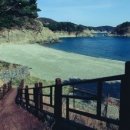 해금강펜션 해동 이미지