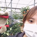 은미농장 이미지