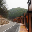 지방도101호 이미지