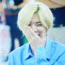 하울 이미지