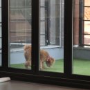 캄그루밍 이미지