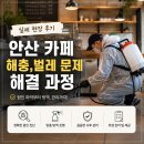 안산 방역 카페 위생 관리 진행했던 현장 후기
