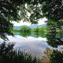 지와이팜 이미지