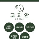 코지안이비인후과의원 네이버블로그