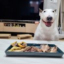 The 건강하게 야무지개 이미지