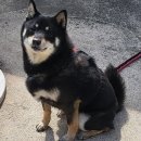 삼문중앙로 이미지