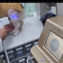 함께하는동물병원 이미지