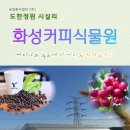 요크커피 이미지