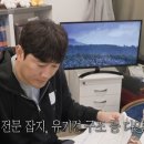 털뭉치들 이미지