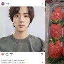 쉐프두리