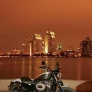 할리(HARLEY) 이미지