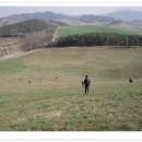 내동목장 이미지