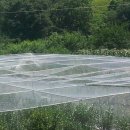 목천농장 이미지