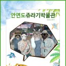 쥬라기별빛쉼터 이미지