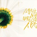 (주)메이드림 이미지