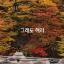 해라 이미지