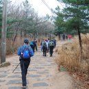 트레일(Trail) Daum카페