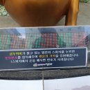 공설로또 이미지
