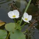 환호해맞이공원 이미지