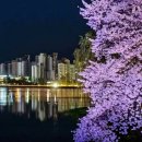 은파호수공원 이미지