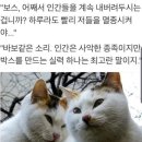 100문 100답